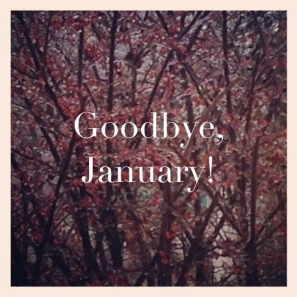 40 Goodbye January Quotes - picture 23