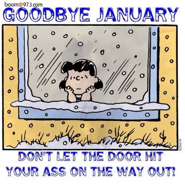 40 Goodbye January Quotes - picture 27