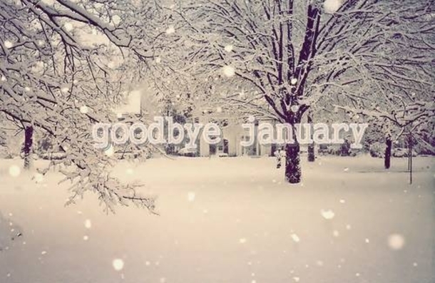 40 Goodbye January Quotes - picture 3