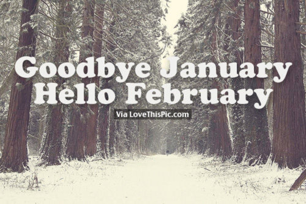 40 Goodbye January Quotes - picture 34