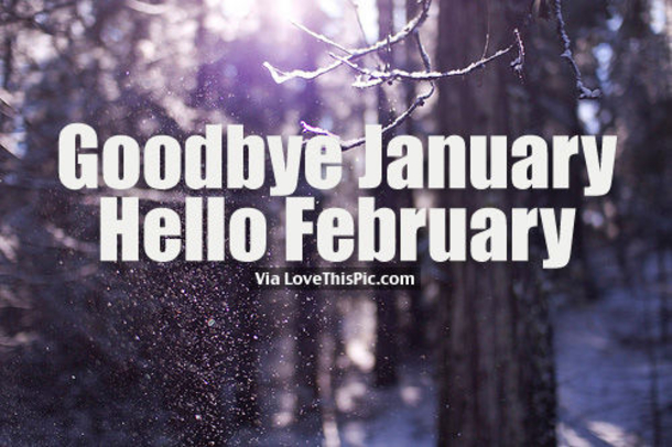 40 Goodbye January Quotes - picture 35