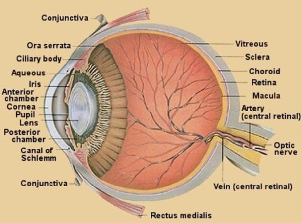 40 Year Old Man Is Diagnosed With Eye Cancer Because He Did This Every Night... - picture 3