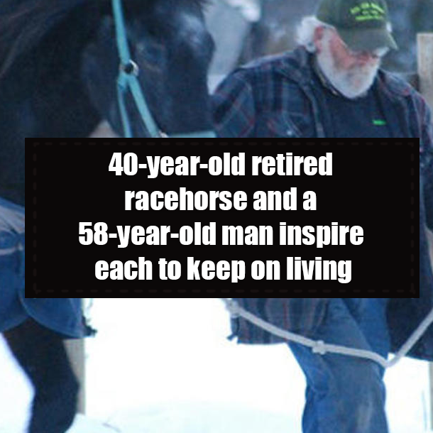 40-year-old retired racehorse and a 58-year-old man inspire each to keep on living
