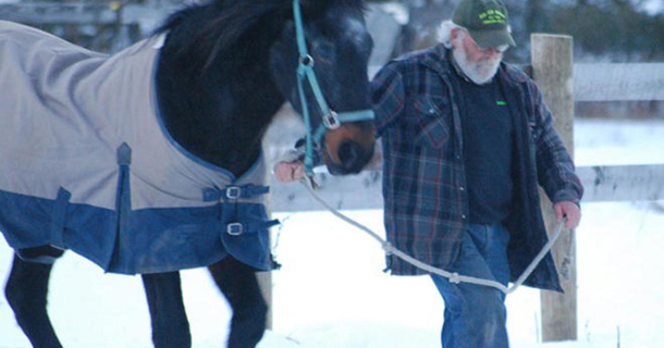 40-year-old retired racehorse and a 58-year-old man inspire each to keep on living - picture 3