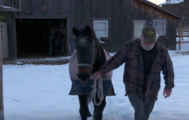 40-year-old retired racehorse and a 58-year-old man inspire each to keep on living - picture 4
