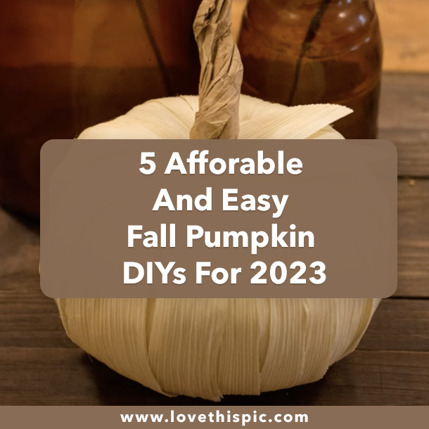 5 Afforable And Easy Fall Pumpkin DIYs For 2023