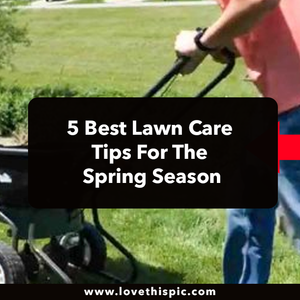 5 Best Lawn Care Tips For The Spring Season