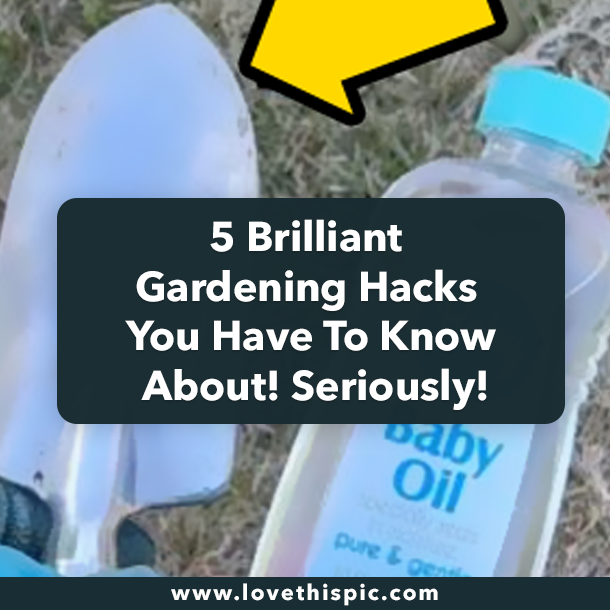 5 Brilliant Gardening Hacks You Have To Know About! Seriously!