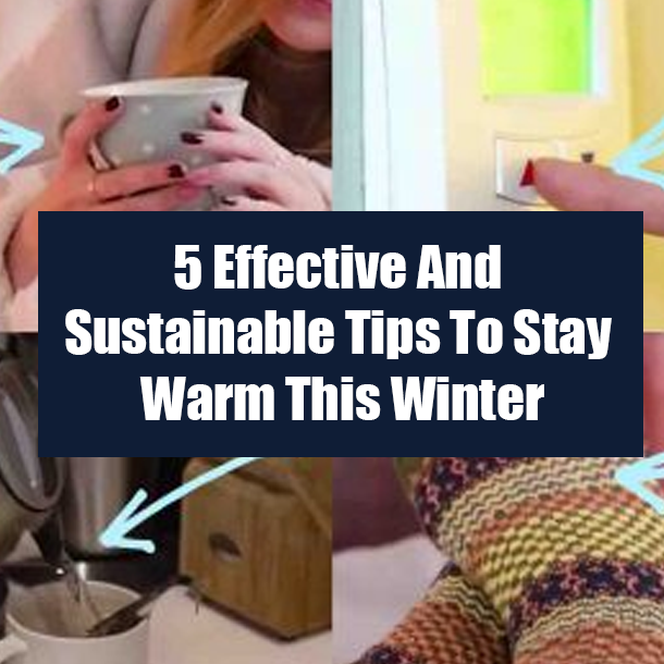 5 Effective And Sustainable Tips To Stay Warm This Winter