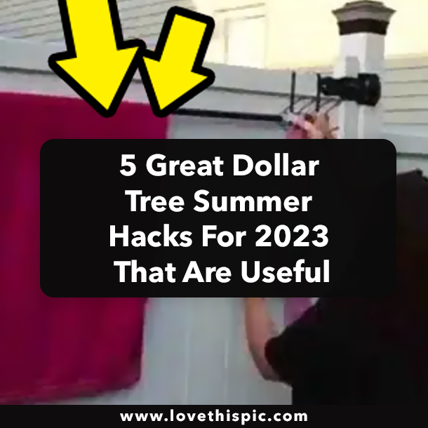 5 Great Dollar Tree Summer Hacks For 2023 That Are Useful