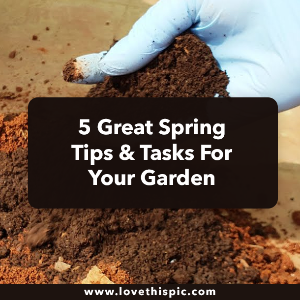 5 Great Spring Tips & Tasks For Your Garden