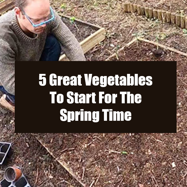 5 Great Vegetables To Start For The Spring Time