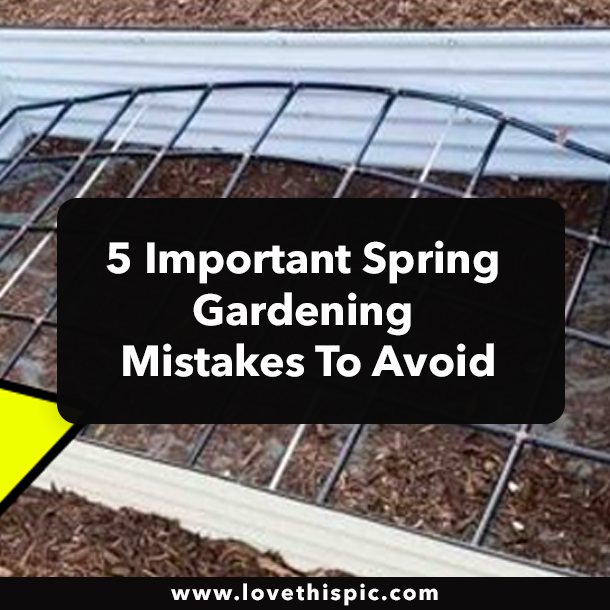 5 Important Spring Gardening Mistakes To Avoid
