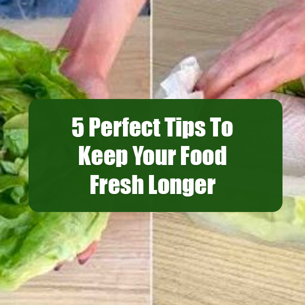 5 Perfect Tips To Keep Your Food Fresh Longer
