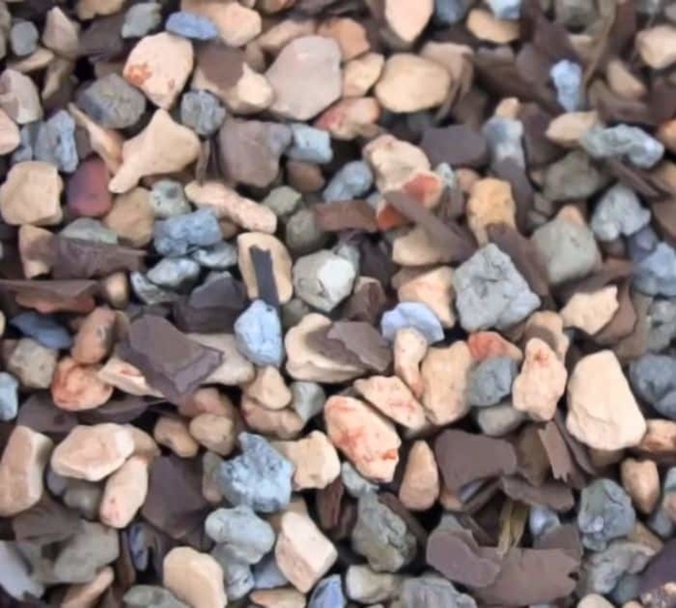 5 Tricks That Will Help Keep Indoor Succulents Healthy - picture 3