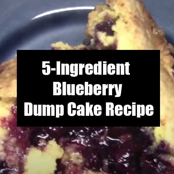 5-Ingredient Blueberry Dump Cake Recipe