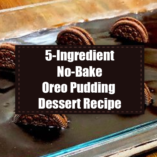 5-Ingredient No-Bake Oreo Pudding Dessert Recipe