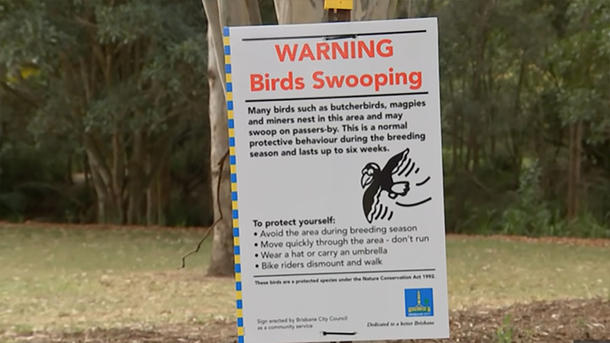 5-Month-Old Baby passed away after mom tries to avoid swooping magpie: ‘Our whole world has been taken from us’ - picture 4