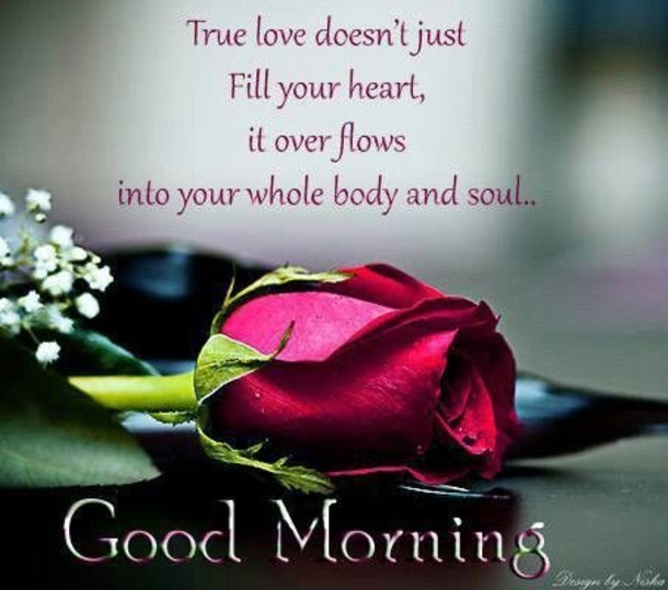50 Beautiful Good Morning Love Quotes With Images - picture 10