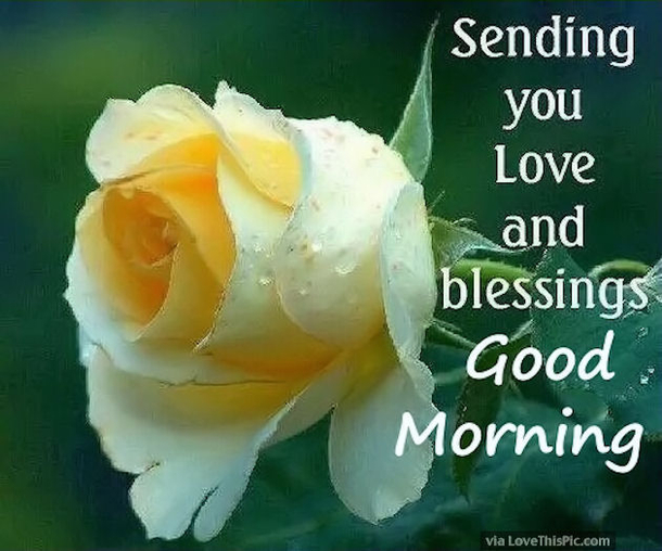 50 Beautiful Good Morning Love Quotes With Images - picture 12