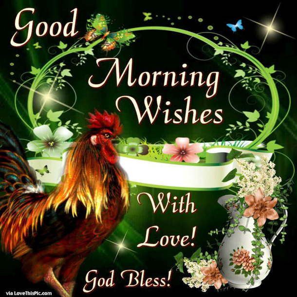 50 Beautiful Good Morning Love Quotes With Images - picture 16