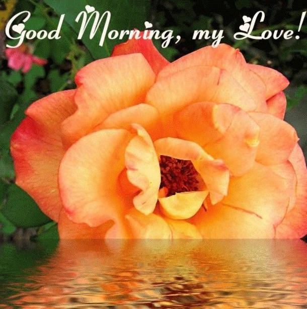 50 Beautiful Good Morning Love Quotes With Images - picture 27