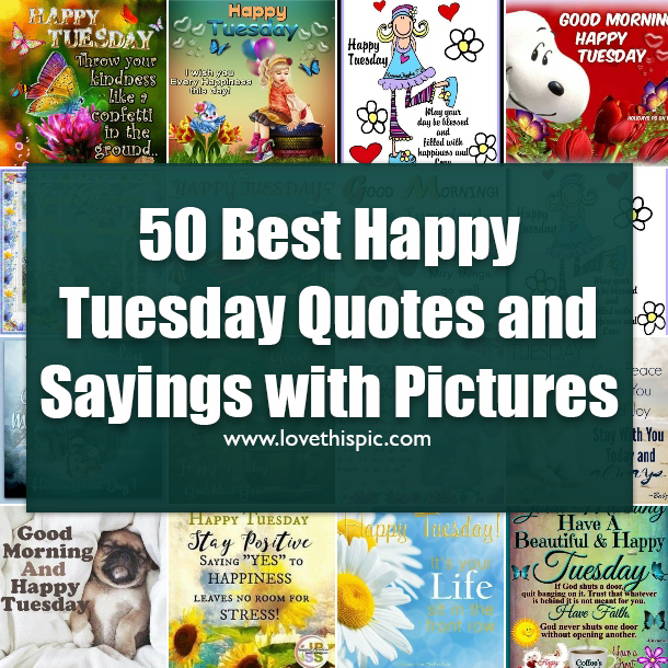 50 Best Happy Tuesday Quotes and Sayings with Pictures