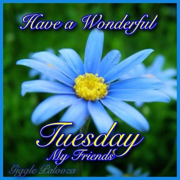 50 Best Happy Tuesday Quotes and Sayings with Pictures - picture 10