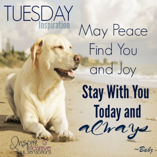50 Best Happy Tuesday Quotes and Sayings with Pictures - picture 14