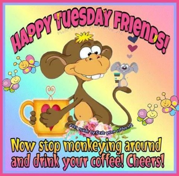 50 Best Happy Tuesday Quotes and Sayings with Pictures - picture 15
