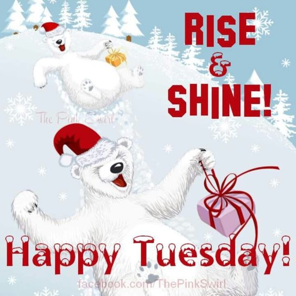 50 Best Happy Tuesday Quotes and Sayings with Pictures - picture 17