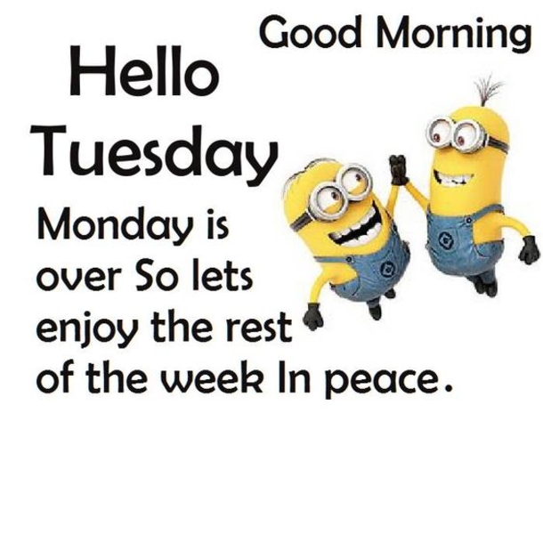 50 Best Happy Tuesday Quotes and Sayings with Pictures - picture 23