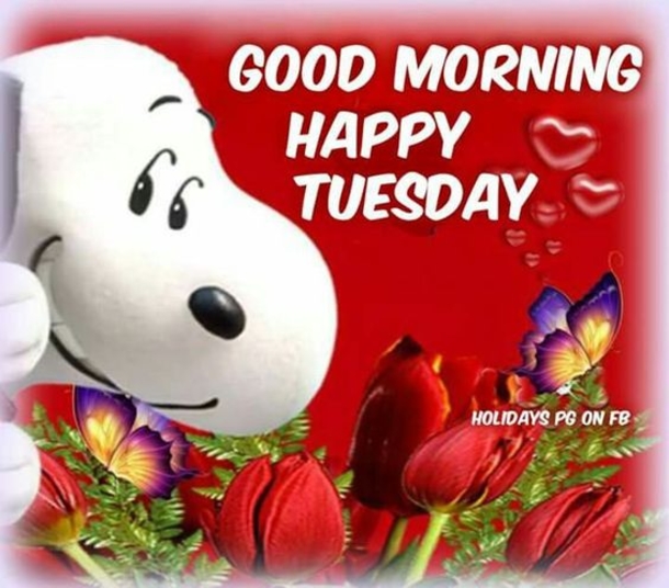 50 Best Happy Tuesday Quotes and Sayings with Pictures - picture 24
