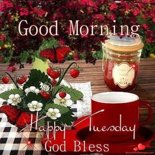 50 Best Happy Tuesday Quotes and Sayings with Pictures - picture 29