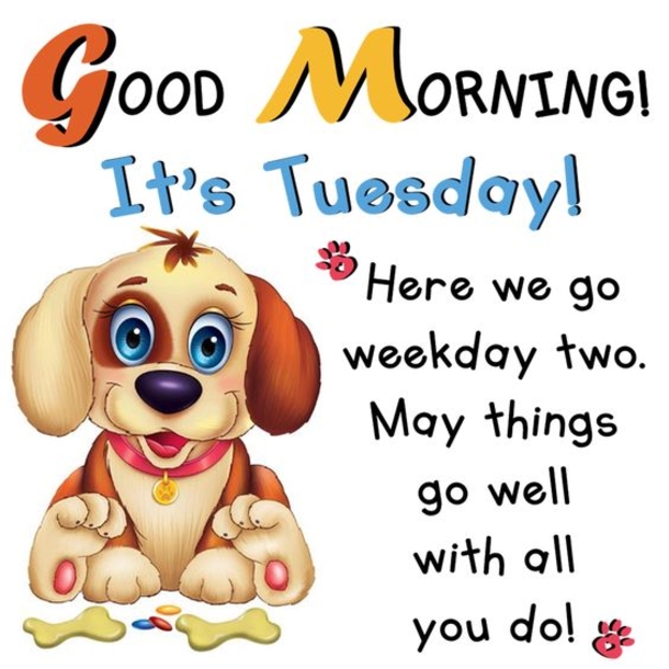 50 Best Happy Tuesday Quotes and Sayings with Pictures - picture 3