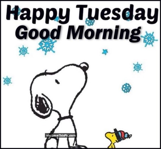50 Best Happy Tuesday Quotes and Sayings with Pictures - picture 30