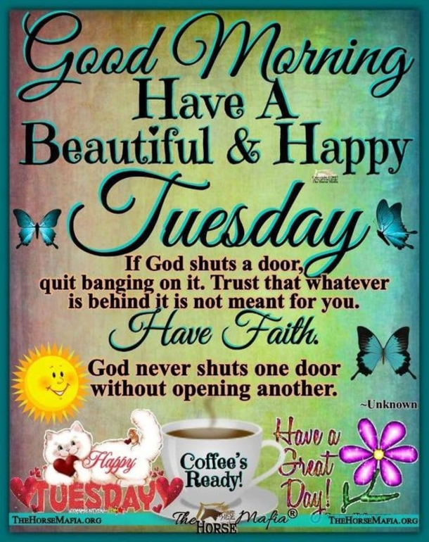 50 Best Happy Tuesday Quotes and Sayings with Pictures - picture 31