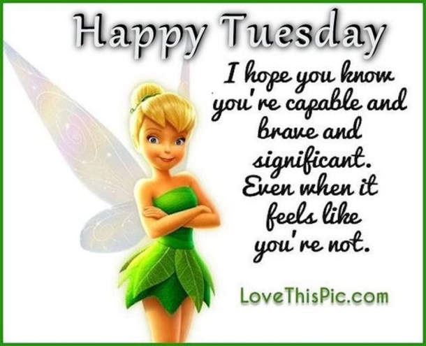 50 Best Happy Tuesday Quotes and Sayings with Pictures - picture 32