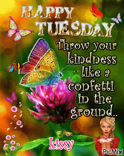 50 Best Happy Tuesday Quotes and Sayings with Pictures - picture 35