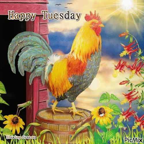 50 Best Happy Tuesday Quotes and Sayings with Pictures - picture 36
