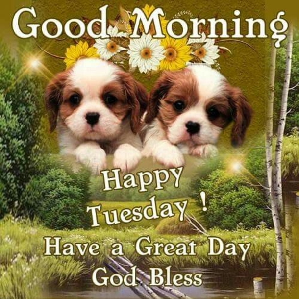 50 Best Happy Tuesday Quotes and Sayings with Pictures - picture 40