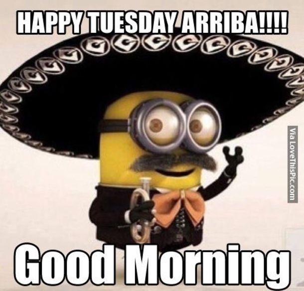 50 Best Happy Tuesday Quotes and Sayings with Pictures - picture 41