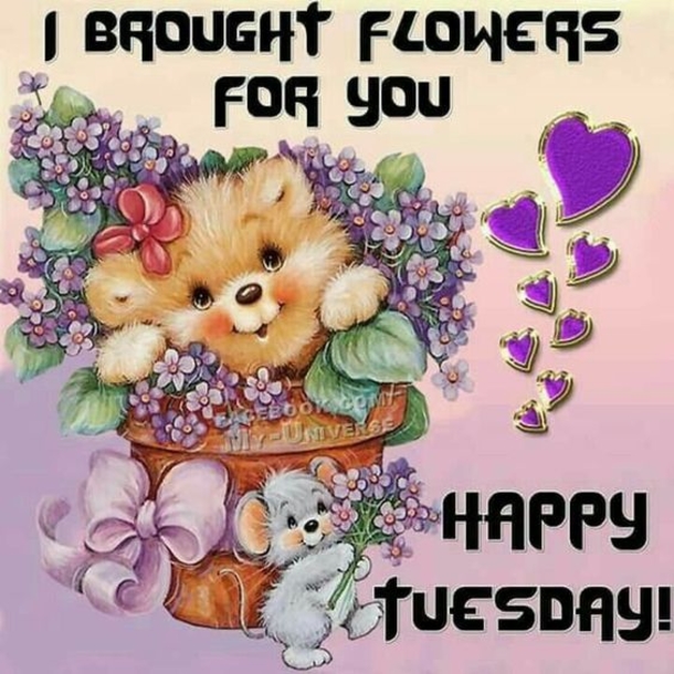 50 Best Happy Tuesday Quotes and Sayings with Pictures - picture 42