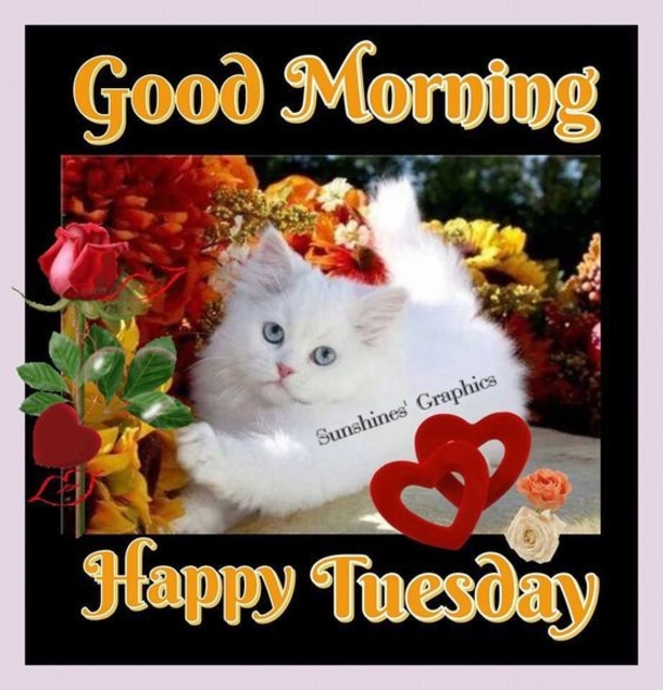50 Best Happy Tuesday Quotes and Sayings with Pictures - picture 47
