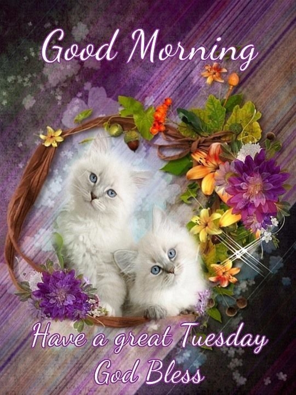 50 Best Happy Tuesday Quotes and Sayings with Pictures - picture 48