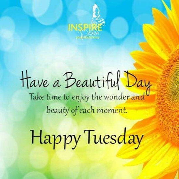 50 Best Happy Tuesday Quotes and Sayings with Pictures - picture 5