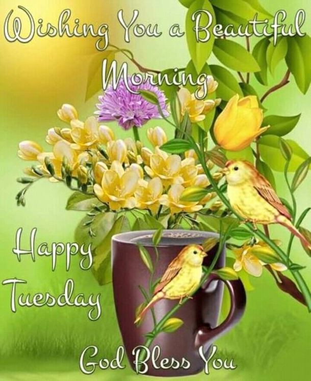 50 Best Happy Tuesday Quotes and Sayings with Pictures - picture 51