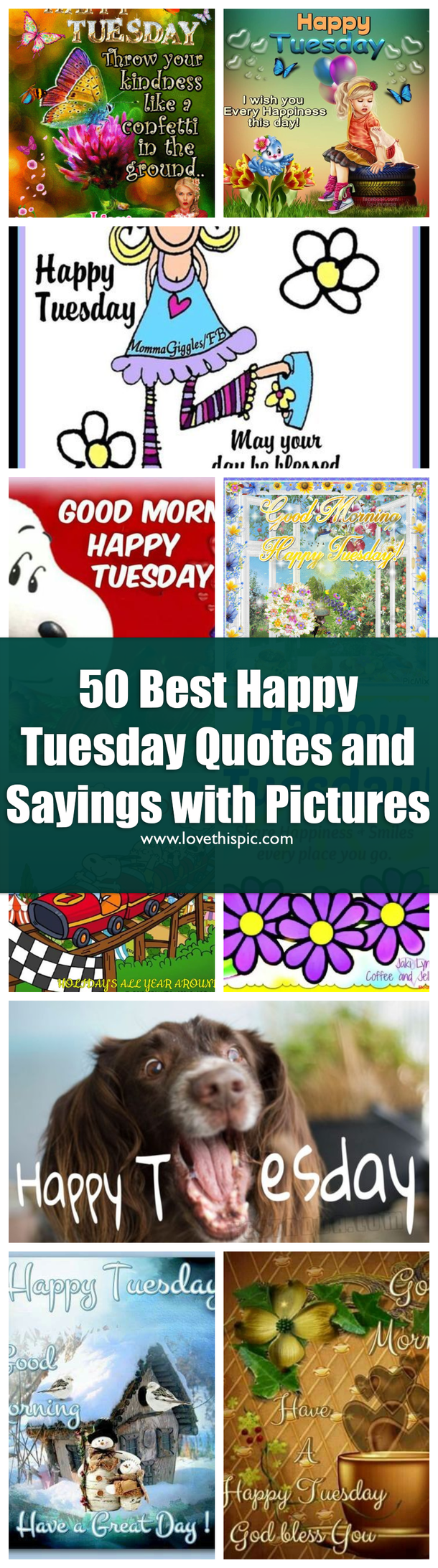50 Best Happy Tuesday Quotes and Sayings with Pictures - picture 52