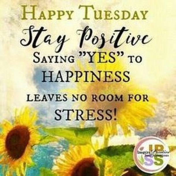 50 Best Happy Tuesday Quotes and Sayings with Pictures - picture 6