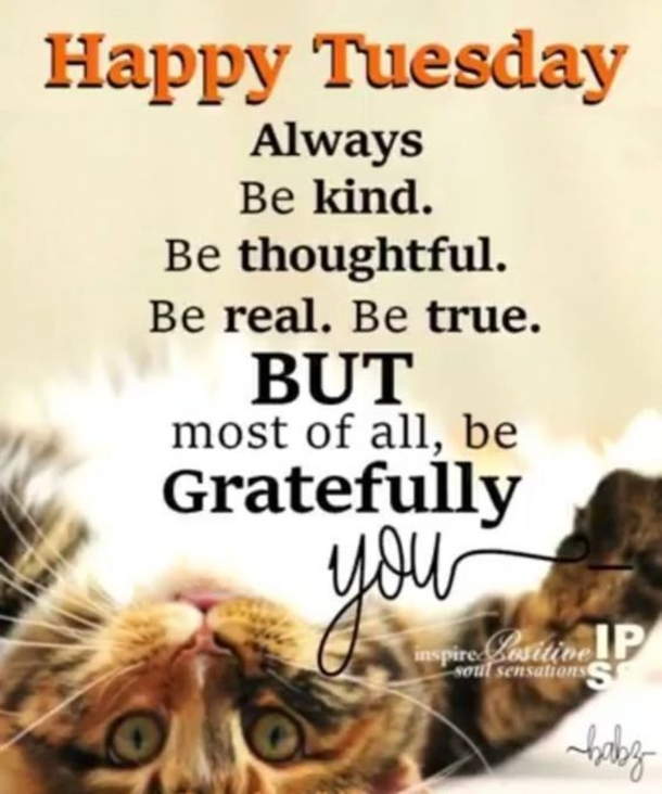 50 Best Happy Tuesday Quotes and Sayings with Pictures - picture 7